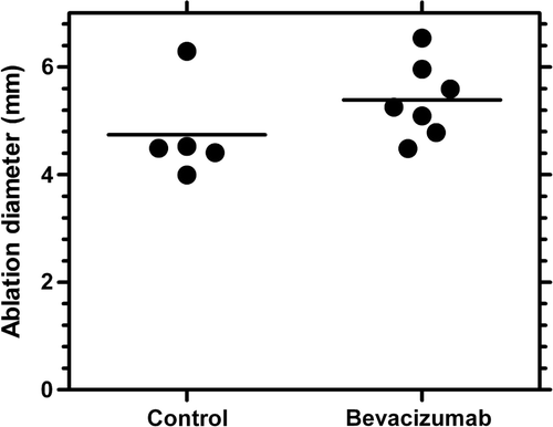 Figure 6. Ablation diameter for control and bevacizumab-treated animals. Ablation diameter was increased 14% for bevacizumab treatment. Data are shown as a scatter plot with the mean indicated as a line (n = 5–7). P value = 0.1909.