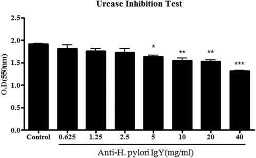 Figure 6. Urease inhibition result. Notes: Urease activity inhibition confirmation test results. *p < 0.05, **p < 0.01, ***p < 0.001 vs control.