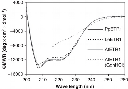Figure 8. Far-UV CD spectra of purified AtETR1, PpETR1 and LeETR1. Mean residue weight ellipticity was calculated from collected data taking into account the molecular weight and the protein concentration to allow for comparison of individual spectra. Data of AtETR1 treated with 4 M guanidinium hydrochloride indicate that the receptor is unfolded in the presence of the chemical denaturant. Due to high absorption of the denaturant no data were collected below 215 nm.