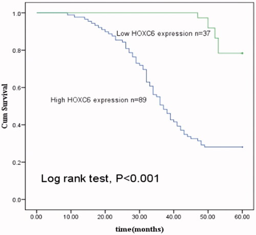 Figure 4. Kaplan–Meier analysis was carried out to investigate the relationship of HOXC6 expression with overall survival of PCa patients. The curves showed that patients with low HOXC6 expression lived longer than those with high HOXC6 expression (log rank test, p < .001).
