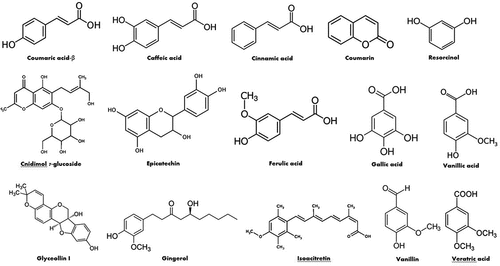 Figure 7. Structures of some important phenolic compounds of L. pyrotechnica.