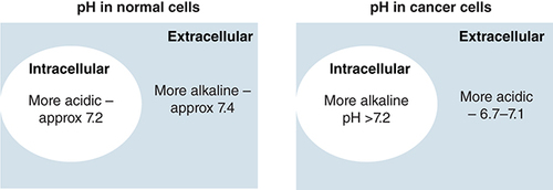 Figure 2. pH reversal in cancer cells compared with normal cells.In normal cells intracellular environment is usually more acidic compared with the extracellular, whereas cancer cells have more acidic extracellular environment compared with intracellular.
