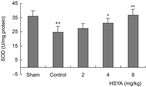 Figure 2.  Effect of HSYA on SOD activity in heart tissues of acute myocardial ischemic rats. Data are means ± SD of 8 rats, except 6 rats in sham group. ##p <0.01 versus sham group; *p <0.05, **p <0.01 versus control group.