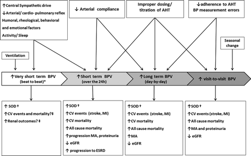 Figure 1. Different types of blood pressure variability (BPV), their determinants and prognostic relevance for cardiovascular (CV) and renal outcomes. AHT, antihypertensive treatment; BP, blood pressure; SOD, subclinical organ damage; ESRD, end-stage renal disease; eGFR, estimated glomerular filtration rate; MA, microalbuminuria; MI, myocardial infarction. *Assessed in laboratory conditions; †cardiac, vascular and renal SOD; ‡BPV on a beat-by-beat basis has not been routinely measured in population studies. Taken from reference (Citation2) by permission.