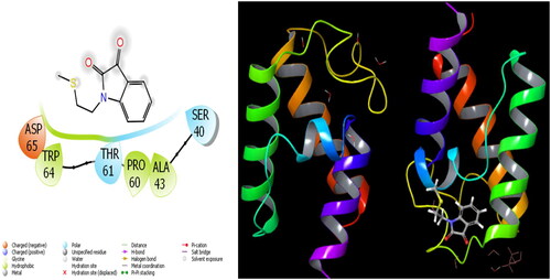 Figure 5. Presentation interactions of molecule 6 with Acinetobacter baumannii protein.