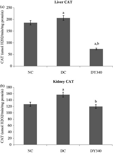Figure 3. Effect of yacon root flour (340 mg FOS/kg body weight) on catalase (CAT) activity in (a) liver and (b) kidney of normal and STZ-diabetic rats. Data are the mean ± SD. ap < 0.05 compared with non-diabetic control animals; bp < 0.05 compared with diabetic control animals. n = 6 animals per group. NC, non-diabetic control animals; DC, diabetic control animals; DY340, diabetic animals treated with yacon root flour (340 mg FOS/kg body weight).
