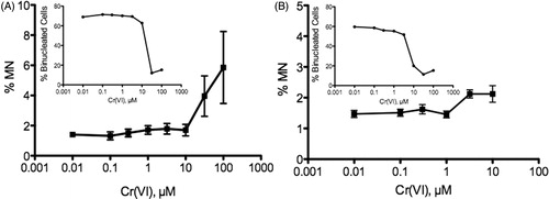 Figure 7. MN formation in CHO-K1 (A) and A549 (B) cells. Cells were treated with the indicated concentrations of Cr(VI). MN formation in bi-nucleated cells is shown in the larger plots. The insets show cytotoxicity as indicated by decrease in the number of bi-nucleated cells. Data represent mean ± SEM, n = 9.