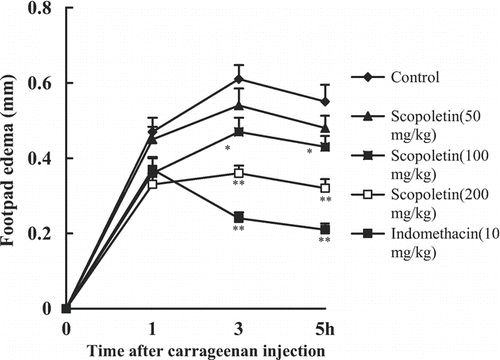 Figure 6.  Effects of scopoletin and indomethacin on carrageenan-induced mouse hind paw edema. Values were means ± SEM of 8 mice. Statistically significant differences with respect to the control are expressed as *P < 0.05, **P < 0.01.
