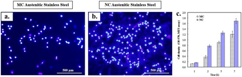 Figure 2. Fluorescence microscopy of fibroblasts nuclei with Hoechst 33258 after 24 h culture on: (a) MC and (b) NC surfaces. NC surface shows higher cell density (b) with abundant extracellular matrix formation as compared to MC (a) surface. (c) Histograms showing higher initial cell density and viability of fibroblasts on NC and MC surfaces using MTT assay (adapted from references 3, 37, 40).
