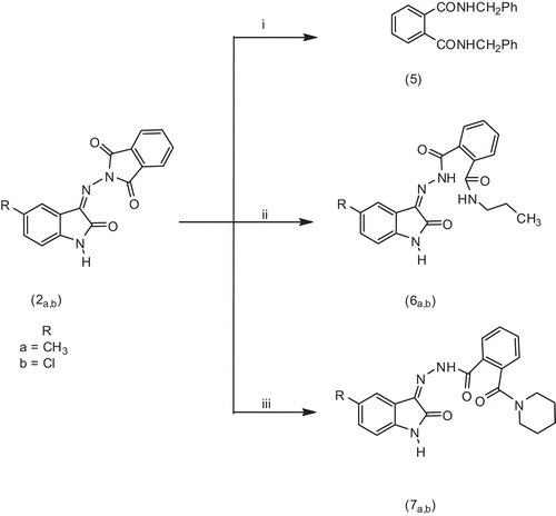 Scheme 2.  Synthetic pathway for target compounds 5, 6a,b and 7a,b. (i) Benzylamine, (ii) n-propylamine and (iii) piperidine.
