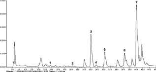 Figure 1 HPLC chromatogram of the phenolic acids from Sternbergia colchiciflora. (aerial part). 1, protocatechuic acid; 2, 4-hydroxybenzoic acid; 3, vanillic acid; 4, caffeic acid; 5, syringic acid; 6, p.-coumaric acid; 7, ferulic acid.