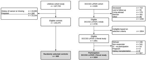 Figure 1. Flowchart study cohort. DCCSS: Dutch Childhood Cancer Survivor Study; IC: informed consent.