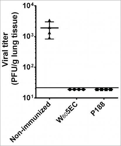 Figure 3. Intranasal vaccination with NE-RSV protects against RSV challenge. Cotton rats were vaccinated intranasally at weeks 0, 4 and 21 and challenged with 5 × 105 PFU RSV A2 at week 23. Viral clearance was assessed in lung tissue 4 d after challenge. Data are represented as PFU/g of lung tissue. The line represents the lower limit of detection of the assay.