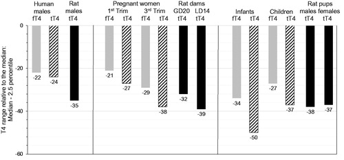 Figure 4. Free T4 and tT4 reference ranges for humans (males, pregnant women, infants) as compared to tT4 normal distribution for Wistar rats (males, lactating dams, pups): Ranges from median to 2.5th percentile, relative to the median. fT4: free thyroxine; GD: gestational day; LD: lactational day; N: number of individuals; Trim: trimester; tT4: total thyroxine. Colour legend: grey columns: human fT4 data; striped columns: human tT4 data; black columns: rat tT4 data. Note that T4 variation only attains -50% as compared to TSH variation attaining up to 210% (Figure 3). Age/life stages (number of individuals): human males: 20–39 years (fT4/tT4: N = 286/130); Wistar rat males: 20 weeks (N = 486); pregnant women: 1st trimester (fT4/tT4: N = 418/417) and 3rd trimester (fT4/tT4: N = 169/169); Wistar rat dams: GD20 (N = 368) LD14 (N = 56); infants: 6 days to 3 months (fT4/tT4: N = 111/99); children: 1–6 years (fT4/tT4: N = 344/341); Wistar rat pups: postnatal day 13 (males/females: N = 398/399). The human fT4/tT4 reference ranges were taken from Roche (Citation2009). The rat normal tT4 distribution ranges were measured in control rats at BASF SE, Ludwigshafen (Germany); see Supplementary Information SI-2 for methodological details and absolute data.
