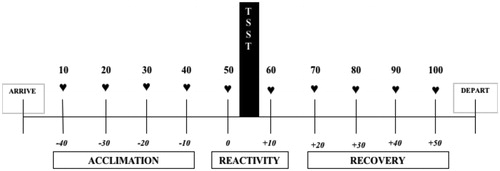 Figure 1. Study timeline. Ten cardiovascular recordings were taken at 10-minute intervals and aggregated into phases representing acclimation, reactivity, and recovery from the Trier Social Stress Test (TSST).