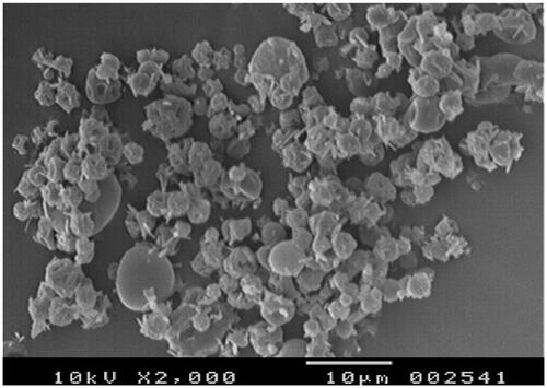 Figure 1. Scanning electron micrograph of ondansetron hydrochloride-loaded microspheres.