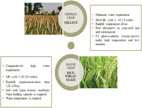 Figure 2. Comparison between two different types of crops.