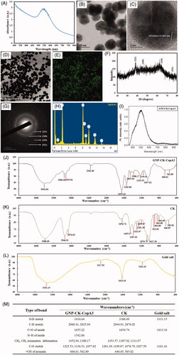 Figure 1. Characterisation of GNP-CK-CopA3. (A) UV–vis absorption spectra, (B) TEM image, (C) HRTEM image, (D and E) Elemental mapping, (F) XRD pattern, (G) SAED pattern, (H) EDX spectrum, and (I) PL of the prepared nanoparticles. FTIR spectra of (J) GNP-CK-CopA3, (K) ginsenoside CK, (L) gold salt, and (M) a tabular view of the functional group profile.
