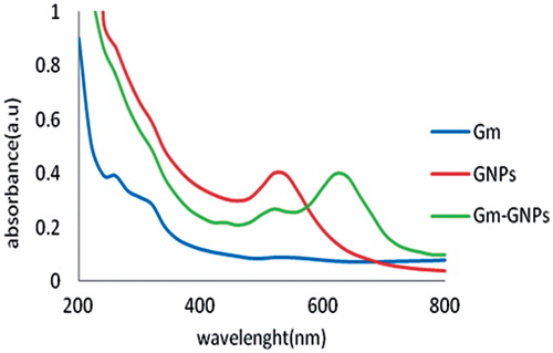 Figure 3.  UV-Vis spectra of gentamicin, gold nanospheres and their respective conjugates. A shift in the maximum is representative for the production of gentamicin-gold nanospheres complex.