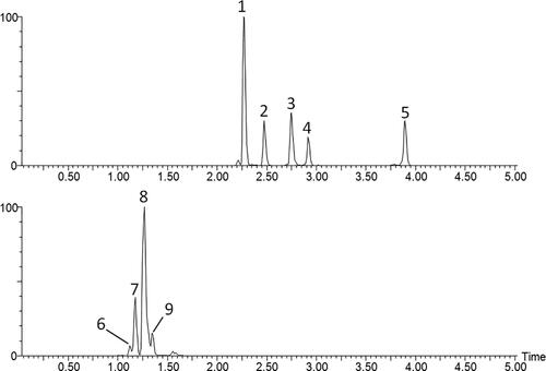 Figure 52. Extracted ion chromatograms of PAs identified in plant pollen of E. vulgare (A) and E. cannabinum (B). Peak numbers correspond to the PAs described in Table 51 (1: echimidine-N-oxide; 2: vulgarine-N-oxide; 3: acetylechimidine-N-oxide; 4: acetylvulgarine-N-oxide; 5: echivulgarine-N-oxide; 6: lycopsamine; 7: intermedine; 8-9: lycopsamine-N-oxide or intermedine-N-oxide).