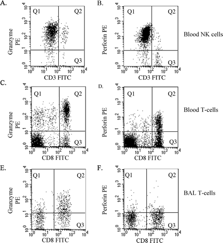 Figure 1 Representative flow cytometric dot plots of granzyme-b and perforin expression by NK cells and T-cells. (A,B) Peripheral blood-derived NK cells were identified in R1 as staining brightly with CD56PC5 (not shown). Subsequent analysis was carried out on cells from R1. NK cells expressing (A) granzyme-b or (B) perforin were identified in quadrant 1 (Q1) by negative staining with CD3 (ie. excluding NKT cells) and bright staining with Mabs to granzyme-b or perforin. Data was expressed as a percentage of total CD3 negative NK cells. (C,D) Peripheral blood-derived T-cells were identified in R1 as staining brightly with CD3PC5 (not shown). Subsequent analysis was carried out on cells from R1. T-cells expressing granzyme-b or perforin were identified by bright staining with Mabs to (C) granzyme-b or (D) perforin (Q1 +Q2). Data was expressed as a percentage of total CD3 T-cells and as a percentage of CD8+ T-cells (Q2/Q2+Q3). (E,F) BAL-derived T-cells. Analysis of BAL was performed as described for blood.