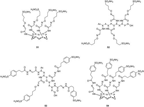 Figure 13. Multivalent CA inhibitors 51–54 from functionalised peptide scaffolds.