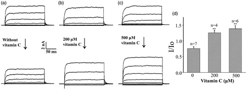 Figure 5. Vitamin C activates BKCa channels at the whole-cell level. (a–c) Representative whole-cell BKCa channel currents before (upper panel) and after 10 min (lower panel) application of 0 (a), 200 (b) and 500 (c) μM vitamin C in the bath solution at Ca2+ concentration of 1 μM. The currents were evoked by step depolarization from a hold potential of -80 mV to test potentials between −80 and +60 mV for 200 ms in 20 mV increments. (d) Ratio values (I/Io) of the whole-cell BKCa channel current at + 60 mV before (Io) and after 10 min (I) application of different concentration of vitamin C in the bath solution. **p < 0.01.