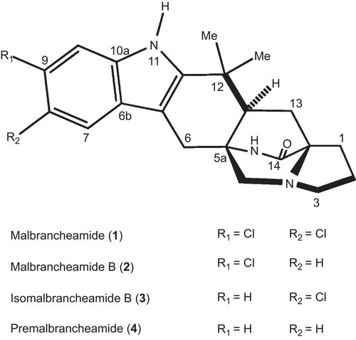 Figure 1.  Structures of malbranchemide analogues.