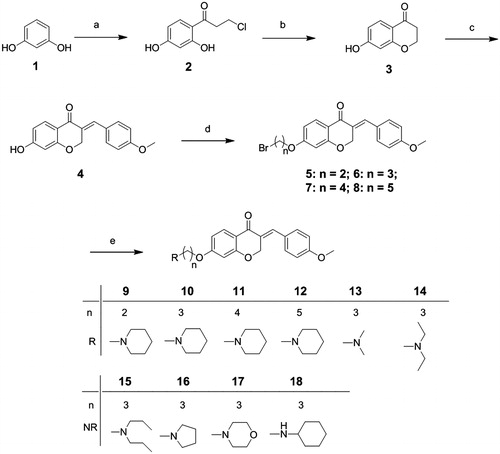Scheme 1. Reagents and conditions: (a) 3-chloropropionic acid trifluoromethanesulfonic acid; (b) NaOH, 0 °C; (c) p-methoxybenzaldehyde, piperidine, 80 °C; (d) α,ω-dibromo alkane, K2CO3, KI, butanone, rt; (e) amines, acetonitrile, reflux.