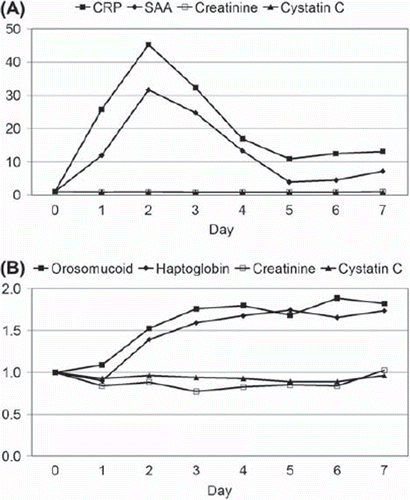 Figure 1. Changes in plasma levels of (A) CRP, SAA, creatinine and cystatin C and of (B) orosomucoid, haptoglobin, creatinine and cystatin C during seven consecutive days after elective surgery. Day zero denotes the day before surgery. The ordinates represent the median level of each analyte in multiples of the preoperative level.
