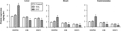 Figure 4.  HSP90, GR, and HSF1 protein levels in liver, heart, and gastrocnemius muscle tissues of control mice and TOL and INT mice following heat stress. *P < 0.05, compared to control and TOL.