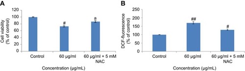 Figure 4 Effect of N-acetyl cysteine (NAC) on yttria-stabilized zirconia nanoparticles for 24 hrs in HaCaT cells. (A) % MTT reduction in 24 hrs. (B) % ROS generation in 24 hrs. Each value represents the mean ± SE of three experiments. ap<0.05 analysis between without NAC and with NAC and #p<0.05, ##p<0.01 vs control.Abbreviation: ROS, reactive oxygen species.