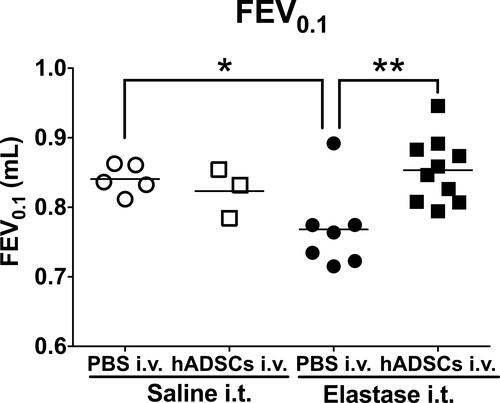 Figure 2 Lung function of emphysema mice treated with hADSCs.