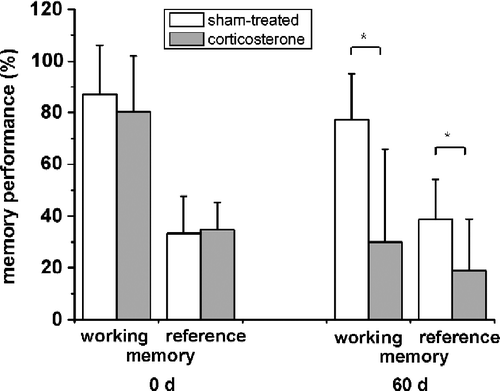 Figure 1 Decreasing memory performance after chronic corticosterone treatment for 60 days. Whereas no difference between rats is seen at the start of the experiment, both working memory (number of food-rewarded visits/number of visits and revisits to the baited set of holes in % with SD) and reference memory (number of visits and revisits to the baited set of holes/number of visits and revisits to all holes in % with SD) performances decrease after 60 days of corticosterone treatment (n = 7; *, P < 0.05). Values are mean ± SD.