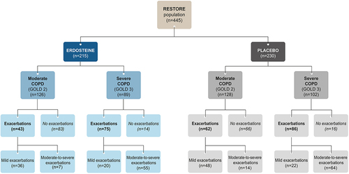 Figure 1 Flow chart of patients in the analysis by treatment group, severity of COPD, exacerbation status, and severity of exacerbations (ITT population). All numbers refer to numbers of patients.