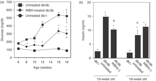 Figure 1. Effect of whole body hyperthermia on plasma glucose and insulin in db/db mice. Six-week-old db/db and db/+ mice were given free access to food and water. Whole body hyperthermia (38°C of rectal temperature for 30 min) was performed three times a week. In all panels, values are the means ± SEM of five mice, squares and solid lines represent the untreated db/db group, diamonds and solid lines represent the WBH-treated group, and solid circles and solid lines represent db/+ mice without whole body hyperthermia. (a) Fasting blood glucose concentrations in 6-week-old mice and 18-week-old mice. *p < 0.01 vs. untreated mice. (b) Fasting insulin concentrations in 10-week-old mice and 18-week-old mice. *p < 0.0001 vs. db/+ mice, #p < 0.001 vs. 10-week-old untreated mice, πp < 0.001 vs. 10-week-old untreated mice.