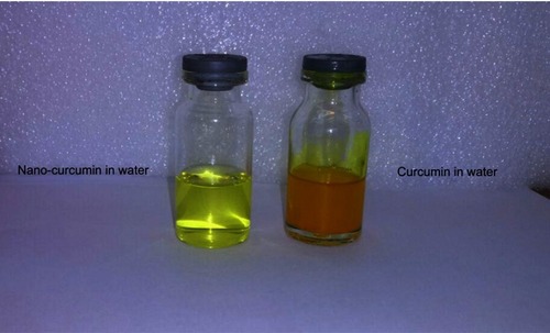 Figure 11 Solubility of Nano-curcumin (left) and curcumin (right) in water.