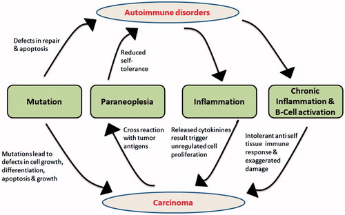 Figure 1. Autoimmune disorders and its interconnection with carcinogenesis in a cyclic pattern. Mutations in growth regulators, apoptotic proteins lead to both autoimmune disorder and cancer directly or indirectly. Autoimmune disorders caused due to deregulation of cell division proteins lead to inflammation, T-cell activation and B-cell activation which results in intolerance to self-tissues, i.e. immune responses are directed towards self-tissues which ultimately lead to cancer.