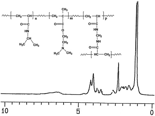 Figure 1. 1H NMR spectrum of P(NIPAM-co-DMA).