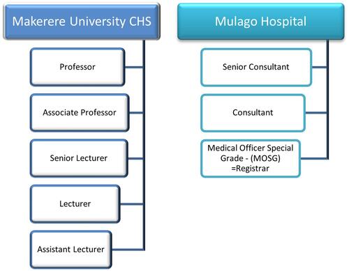 Figure 1 Hierarchy of clinical staff at Makerere University College of Health Sciences and Mulago National Referral and Teaching Hospital.