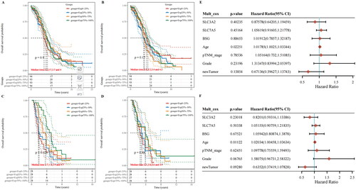 Figure 2. Prognostic roles of CD98hc and CD147 in patients with ovarian cancer. Kaplan–Meier analysis was used to analyse the effects of CD98hc (A, C) and CD147 (B, D) on the overall survival rate of patients with ovarian cancer based on TCGA and ICGC databases. Multivariate Cox regression analysis was used to analyse the risk factors for the overall survival (E) and disease-free survival of patients with ovarian cancer (F).