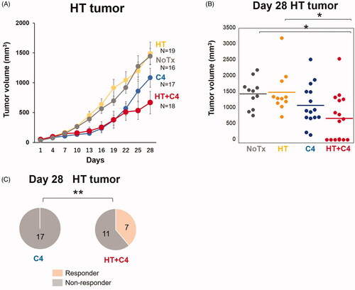 Figure 4. Effect of local HT on the antitumor response in locally heated (HT) tumors. (A) Tumor growth curves for the HT tumors (NoTx: N = 16, HT: N = 19, C4: N = 17, and HT + C4: N = 18). (B) Quantitative analysis of tumor volume change on day 28. (C) Number of mice who responded in the C4 and HT + C4 groups. A responder is defined as a mouse with a smaller tumor volume on day 28 than on day 1. Data are combined from two independent experiments. Error bars represent SEM. *p < 0.05.; **p < 0.01. Abbreviations. Inoc: Inoculation; HT: Hyperthermia; C4: CTLA-4 blockade.