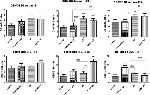 Figure 5. GSH/GSSG ratio in serum (A) and plantar tissue (B) at 2 h, 24 h and 48 h after carrageenan administration. A. In serum, the GSH/GSSG ratio increased at 2 h in all treated groups compared to the control group; the VO and AuNP-VO groups showed increases in the GSH/GSSG ratio at 24 h (p < 0.001) and at 48 h (p < 0.01). B. In the paw tissue, the GSH/GSSG ratio enhanced at 2 h in the AuNP-VO group compared to the control group (p < 0.001) and at 24 h compared to all groups (p < 0.001). At 48 h, the GSH/GSSG ratio decreased in AuNP-VO-treated group while in the Indomethacin group, the values were maintained increased compared to the other groups (p < 0.001). The statistical significance between the compared groups was evaluated with one-way ANOVA followed by the Tukey-test, *p < 0.05, **p < 0.01, ***p < 0.001 vs control group; #p < 0.05, ##p < 0.01, ###p < 0.001 vs Indomethacin group; ^^^p < 0.001 between VO and AuNP-VO.