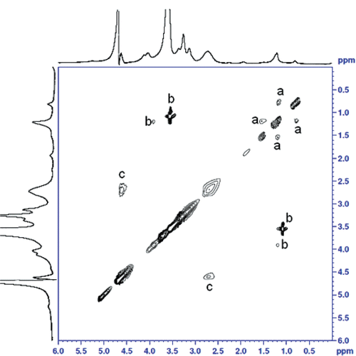 Figure 3.  Contour plot of the NOESY experiment on PHEA-EDA-Sq17-PS80 copolymer micelles recorded with an experimental mixing time of 350 ms.