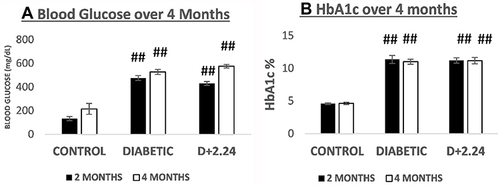Figure 5 Comparison of blood glucose and glycated hemoglobin (HbA1c) levels between the 3 groups of rats. (A). It shows the levels of blood glucose (mg/dL) in normal/control (non-diabetic), untreated diabetic and the CMC2.24-treated diabetic rats, respectively. Black bar: 2 months; White bar: 4 months. And (B). It shows the levels of HbA1c (%) in normal/control (non-diabetic), untreated diabetic and the CMC2.24-treated diabetic rats, respectively. Black bar: 2 months; White bar: 4 months. N, control (non-diabetic) group; D, diabetic group; D+CMC2.24, diabetes+CMC2.24 treatment group. Each value represents Mean (n=6/group) ± Standard Error (S.E.M.) ##Indicates p value < 5×10−5 values compared between groups at the same time period.