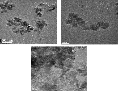 Figure 4. Comparison of TEM and HR-TEM images of C60-γ-Fe2O3 SPIONs.