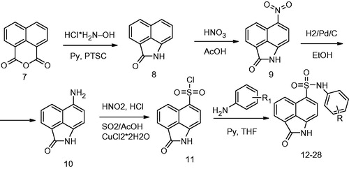 Scheme 1. Synthesis of N-phenylnaphthostyril-1-sulfonamides.