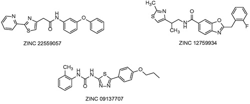 Figure 14. Compounds selected from Pharmacophore modeling study.