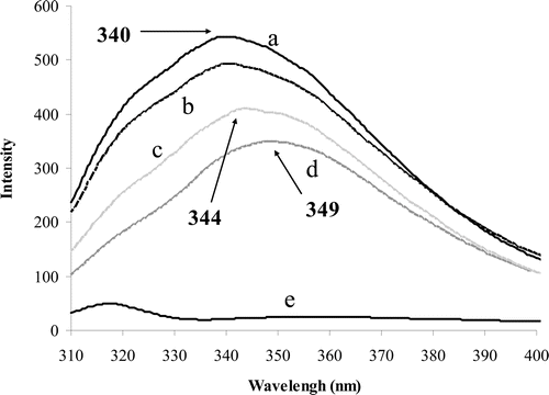 Figure 5.  Fluorescence spectra obtained from excitation at 285 nm and emission range of 310–400 nm. The pure enzyme (0.04 g/ml) induces a peak at 340 nm (a). Binding of substrate (30 mM) to the enzyme reduced the peak emission intensity (b). Binding of ranitidine (6.5 μM) to free enzyme also decreased the emission intensity and induced a red shift to 344 nm (c). Binding of ranitidine to enzyme–substrate complex also induced red shift (d). Pure ranitidine (e).