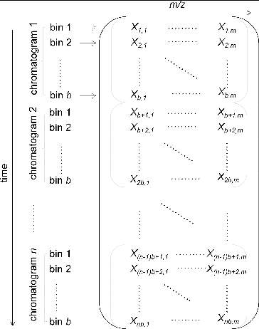 FIG. 3 Schematic of the TAG binning data matrix [X] for use in PMF analysis: n is the number of chromatogram for each hour; b is bin number for each chromatogram bin; m is the index of m/z.